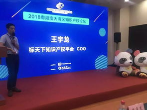 七弦琴 专利交易盛会中的知识产权服务新星